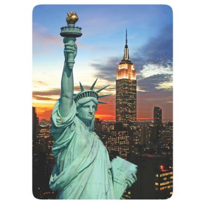 Sticker cleaner microfibre New York Statue de la Liberté